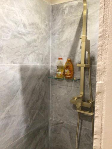 um chuveiro em azulejos com uma prateleira na casa de banho em Appartement Monseigneur em Vannes
