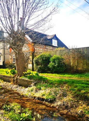 a house with a tree in a yard at Historic, traditional & Spacious Wiltshire Cottage in Shrewton