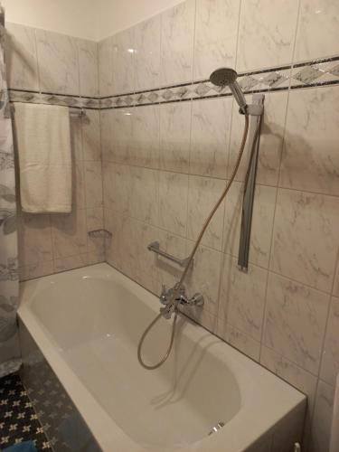 a bath tub with a shower in a bathroom at Haus an der Sonne FeWo 1 in Biberwier