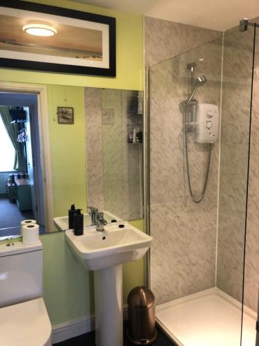 a bathroom with a sink and a shower at Flat G, 8 Castle Street in Ludlow