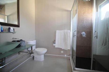 La salle de bains est pourvue de toilettes, d'un lavabo et d'une douche. dans l'établissement Magnifique Villa avec piscine privée à 550 m de la plage, à Trou aux Biches