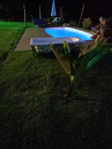 Rancho dos Pássaros Amarelos – Photos 5