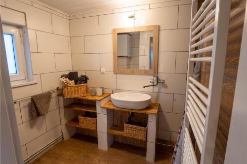 a bathroom with a sink and a mirror at Harznester - Ferienhaus am Horstberg in Wernigerode