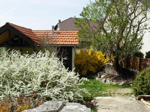 a house with a garden in front of it at Chambres D'Hotes "Les Chiens Verts", jardin, terrasse, parking privé in Hauteville-Lompnes