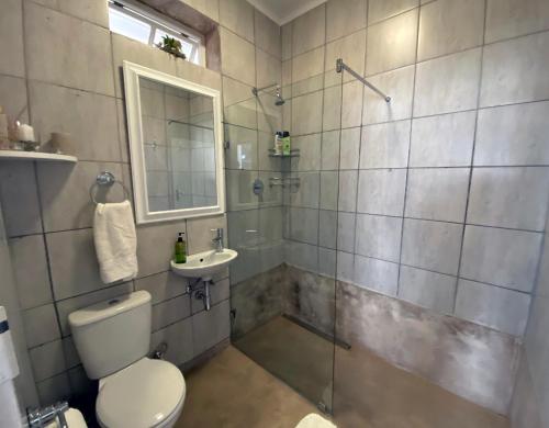 La salle de bains est pourvue de toilettes, d'un lavabo et d'une douche. dans l'établissement Olive and Vine Farm Cottage, à Franschhoek