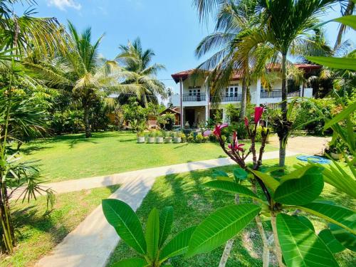 a house in the middle of a yard with palm trees at Optimum Residencies in Negombo