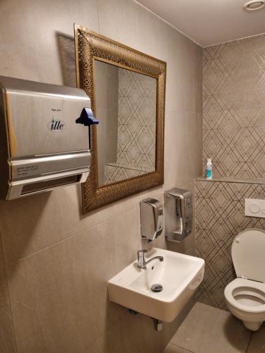 a bathroom with a sink and a toilet and a mirror at Penzion Modrava in Modrava