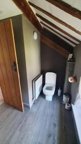 a bathroom with a toilet and a wooden door at The Hayloft Llwyndu in Barmouth