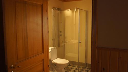 ein Bad mit einer Dusche, einem WC und einer Dusche in der Unterkunft Kloten Nature Resort in Kopparberg
