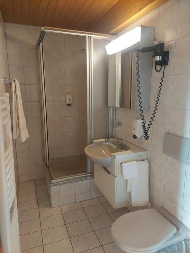 a bathroom with a toilet and a sink and a shower at Alpenblick Ferenberg Bern in Stettlen