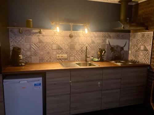 a kitchen with a counter top with a sink and a counter top at La Ferme Du Pré Charmant in Durbuy