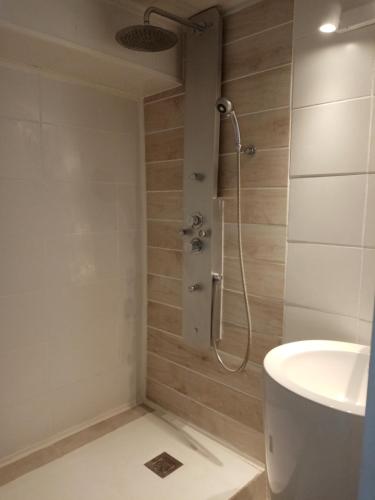 a bathroom with a shower and a sink at Le Rocher du Samoyède in Dirinon