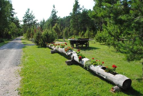 a row of logs with flowers on the side of a road at Kuivastujaani in Kuivastu