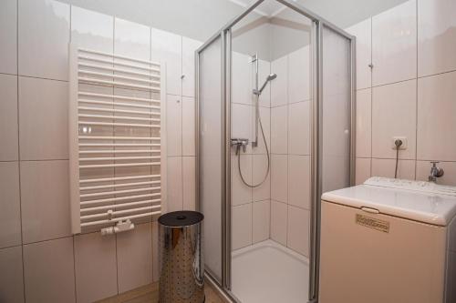 La salle de bains est pourvue d'une douche et d'un lavabo. dans l'établissement Villa Bernstein Wohnung 06, à Boltenhagen