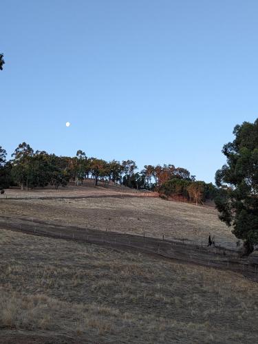 Paisaje cerca de este apartamento
