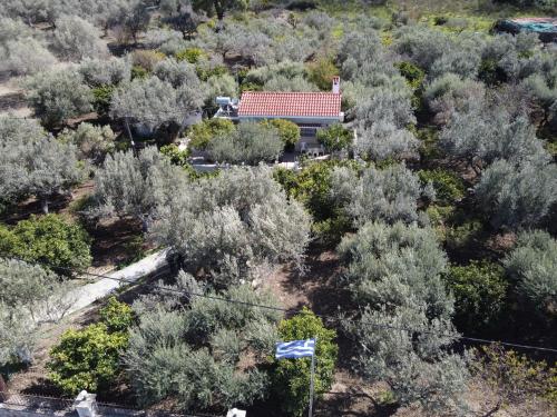 Imagine din galeria proprietății Villa Kavalino în Kolimbia