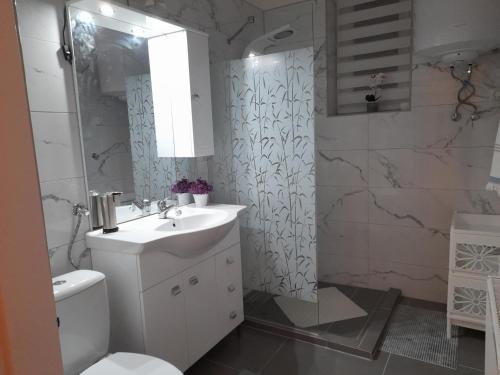 uma casa de banho com um lavatório, um WC e um chuveiro em Edina Apartman em Sátoraljaújhely