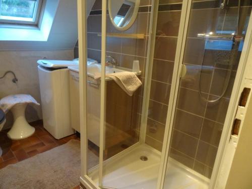 ein Badezimmer mit Dusche und Waschbecken in der Unterkunft Logis en montagne chez Juju in Fréland