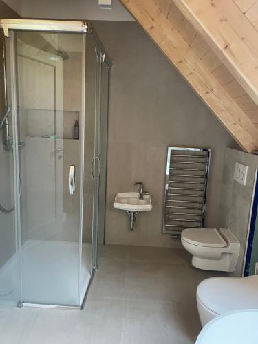 a bathroom with a shower and a toilet and a sink at Apartmány Podhorie, Banská Štiavnica in Banská Štiavnica