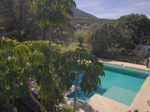 ein Baum neben einem Swimmingpool mit einem Berg in der Unterkunft Luxe Haciënda La Campiña met verwarmd zwembad en tennisbaan. in Alhaurín el Grande