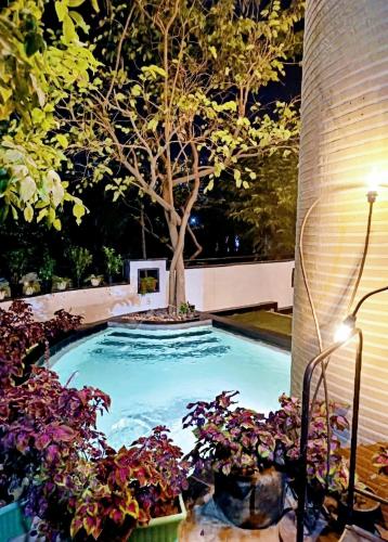 a swimming pool with a tree in the middle at The Saneer Jaipur in Jaipur
