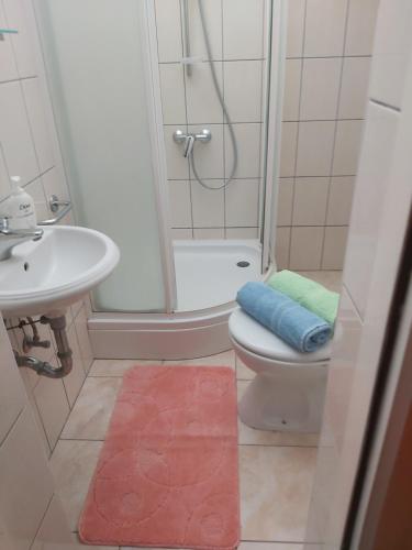 La salle de bains est pourvue d'une douche, de toilettes et d'un lavabo. dans l'établissement Apartman Bačić, à Vela Luka