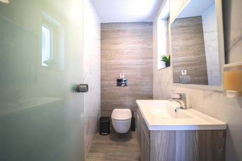 a bathroom with a sink and a toilet and a mirror at Nafsika Xenia - Ariti Villa in Plátanos