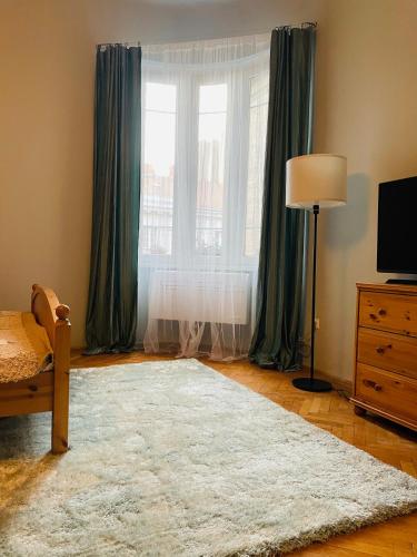 een woonkamer met een groot raam en een tapijt bij Charm Boutique Apartment in Boedapest