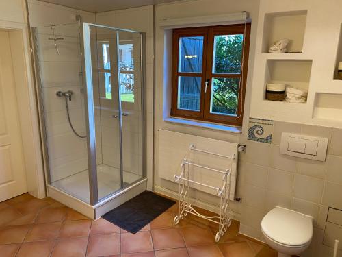 a bathroom with a shower and a toilet at Holzhaus auf 2000qm in traumhafter Lage, KEINE Partygruppen in Schalkenbach