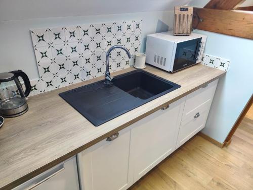 a kitchen counter with a sink and a microwave at Entre Galets in Sauveterre