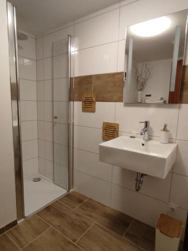 une salle de bain avec un lavabo et une douche dans l'établissement Ferienwohnung 'Unter der Burg', à Brodenbach