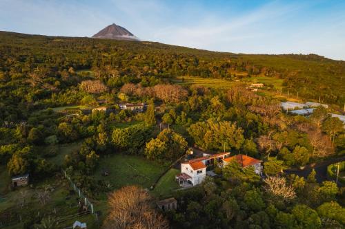 an aerial view of a house with a mountain in the background at Quinta das Almas in São Roque do Pico