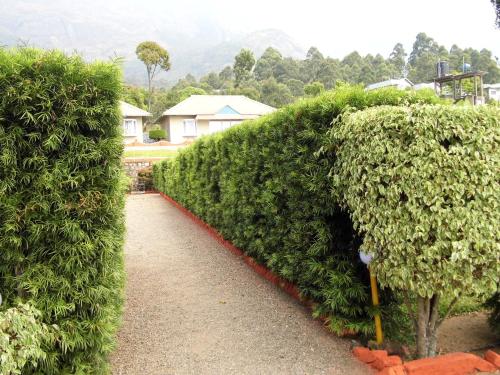 a row of hedges next to a walk way at Holiday Heaven Munnar in Chinnakanal