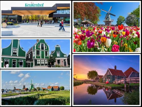 un collage de fotos de diferentes casas y flores en Appartement YCW 'Papillon', en Rijnsaterwoude
