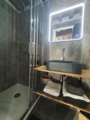 une salle de bain avec un lavabo, un miroir et des serviettes dans l'établissement Appartement cosy dans le centre historique, à Châtillon-sur-Chalaronne