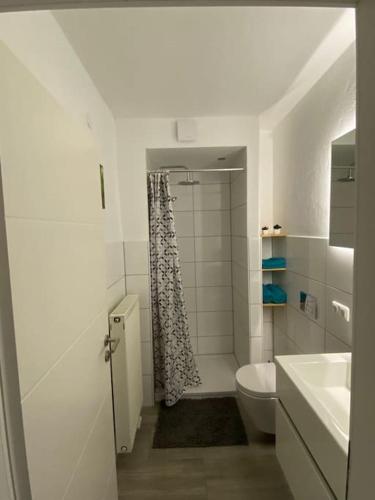 a white bathroom with a shower and a toilet at Unterkunft Waigolshausen in Waigolshausen