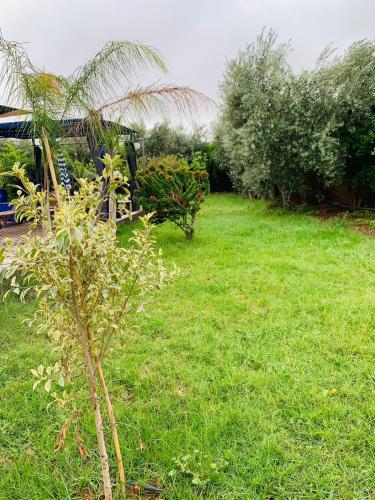 Un jardín fuera de Villa yanii siin