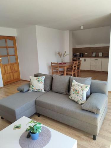 Sala de estar con sofá gris y mesa en Apartament za lasem, en Kaliska Kośierskie