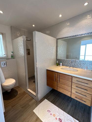 une salle de bain avec un lavabo, des toilettes et un miroir dans l'établissement Appartement Cardo, à Bastia
