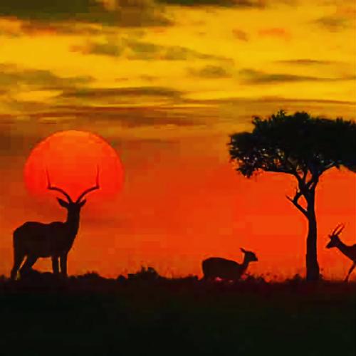 three animals standing in front of a sunset at Horizon View Chalets in Graskop