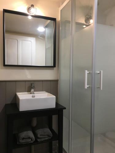 une salle de bain avec un lavabo et une douche avec un miroir dans l'établissement Mirabel, à Beaulieu-sur-Dordogne