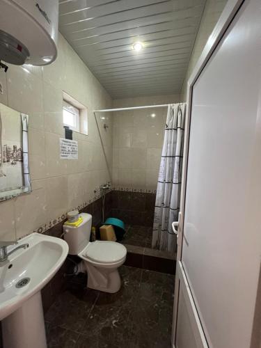 a small bathroom with a toilet and a sink at Ararat & Svetlana in Alakhadzi