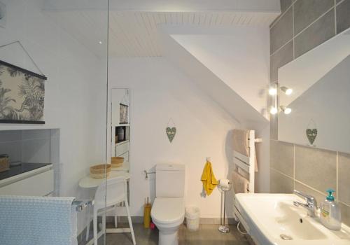 a bathroom with a toilet and a sink at Joli Canard in Badefols-dʼAns