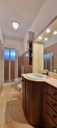 bagno con grande lavandino e servizi igienici di L'Asparagina a Guardea