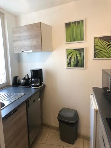 - une cuisine avec un comptoir et une poubelle dans l'établissement Gite Jasmin, à Herrlisheim-près-Colmar