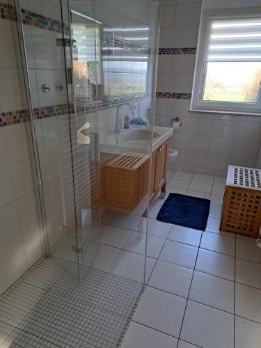 een badkamer met een douche en een wastafel bij Zur schönen Aussicht in Hameln