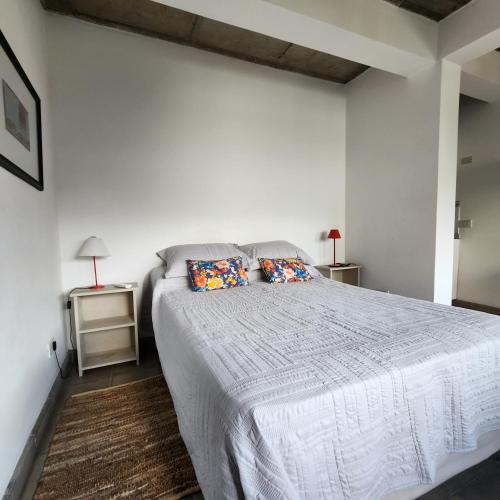 a bedroom with a bed with two pillows on it at CASA MARGARITA 1Piso Monoambiente in San Salvador de Jujuy