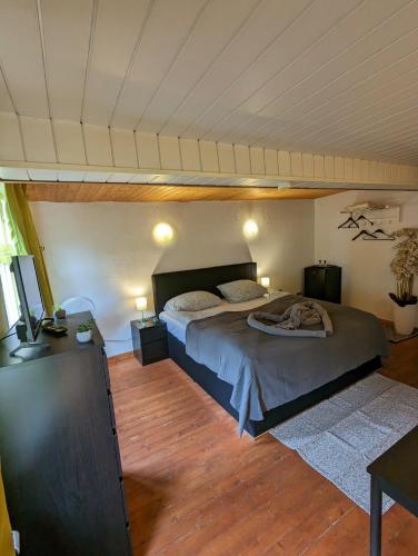 a bedroom with a bed and a tv in it at Gästehaus Pension Romantika in Cochem