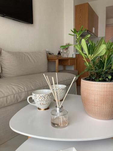 a coffee table with two cups and plants on it at Wide Blue Luxury Boutique Suites in Neos Marmaras