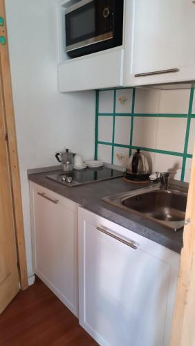 a kitchen with a sink and a microwave at Hotel Posta R.T.A. in Madonna di Campiglio